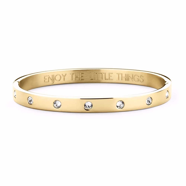 Armring i Guldfarvet Rustfrit Stål med Zirkonia - 6 mm